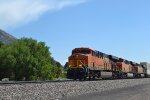 BNSF 8218